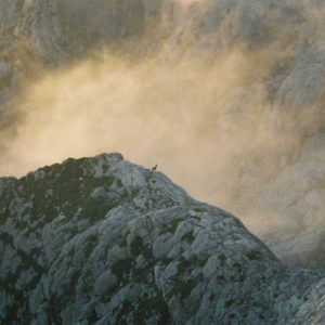 Picos de Europa